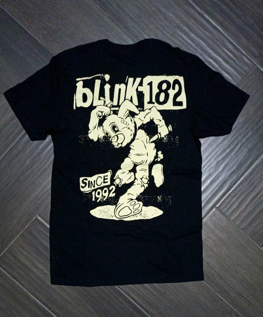Blink 182 - Since 1992